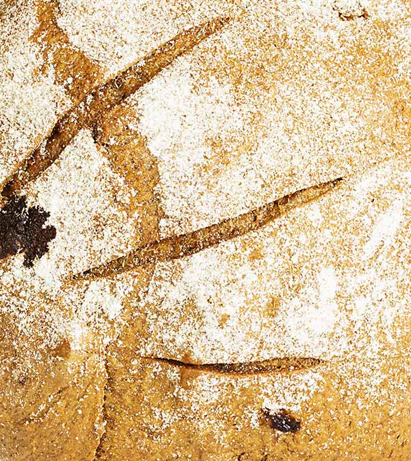 shop-img-2-gallery-1 h