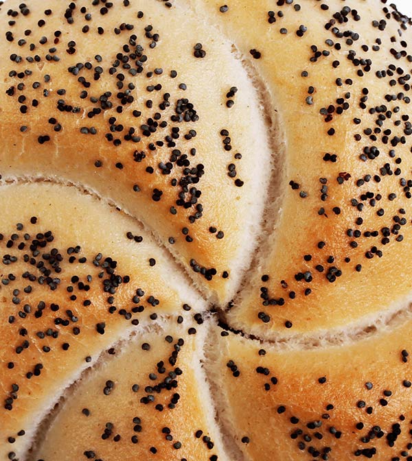 shop-img-7-gallery-1 j